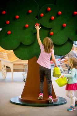 A Child reaching for an apple on the play tree